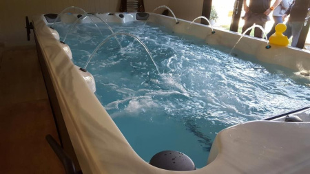 Плавательный спа бассейн с противотоком Vita Spa Swim Spa XL 4